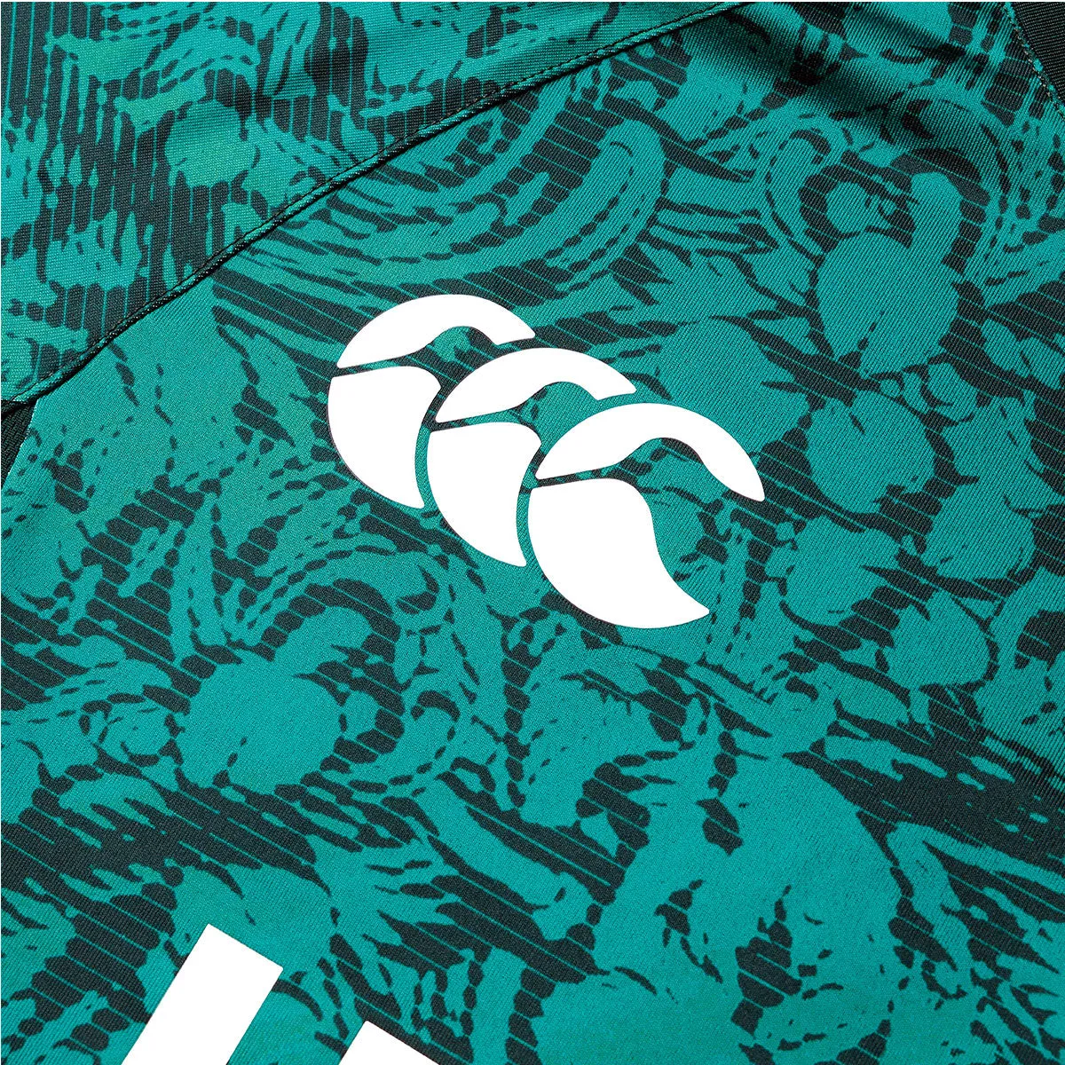 Canterbury British and Irish Lions Light Rugby Tee - Mens - Green