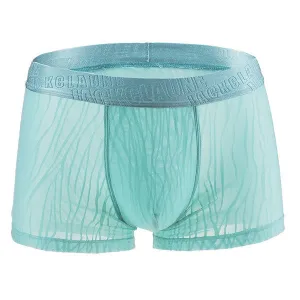 Hollow Lace Transparent Boxer Briefs for Men