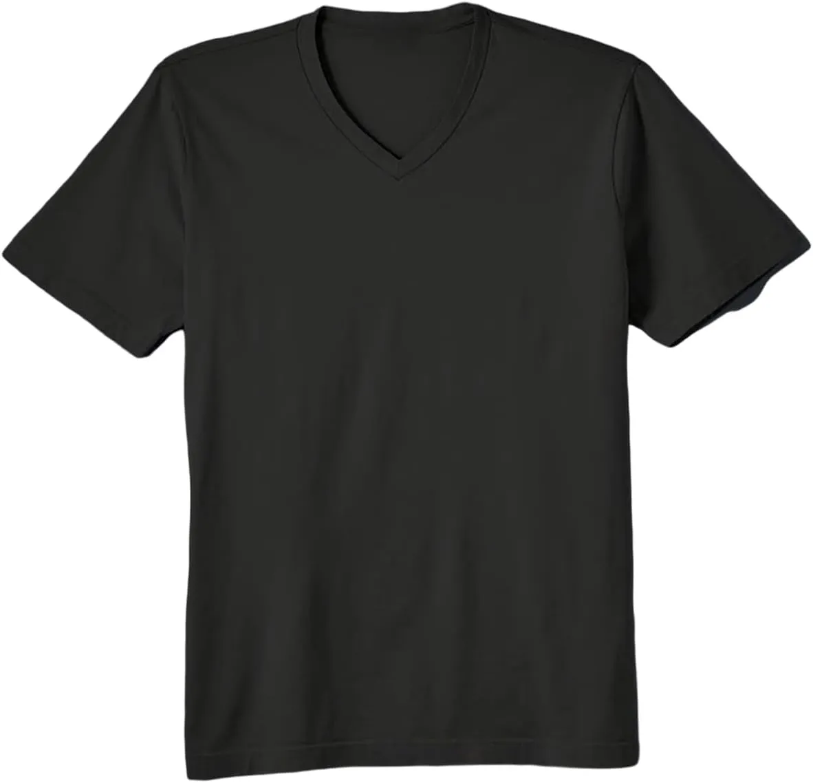 Men's Basic V Neck T-Shirt, T-Shirt, Menswear, Multi-Color, PL2101